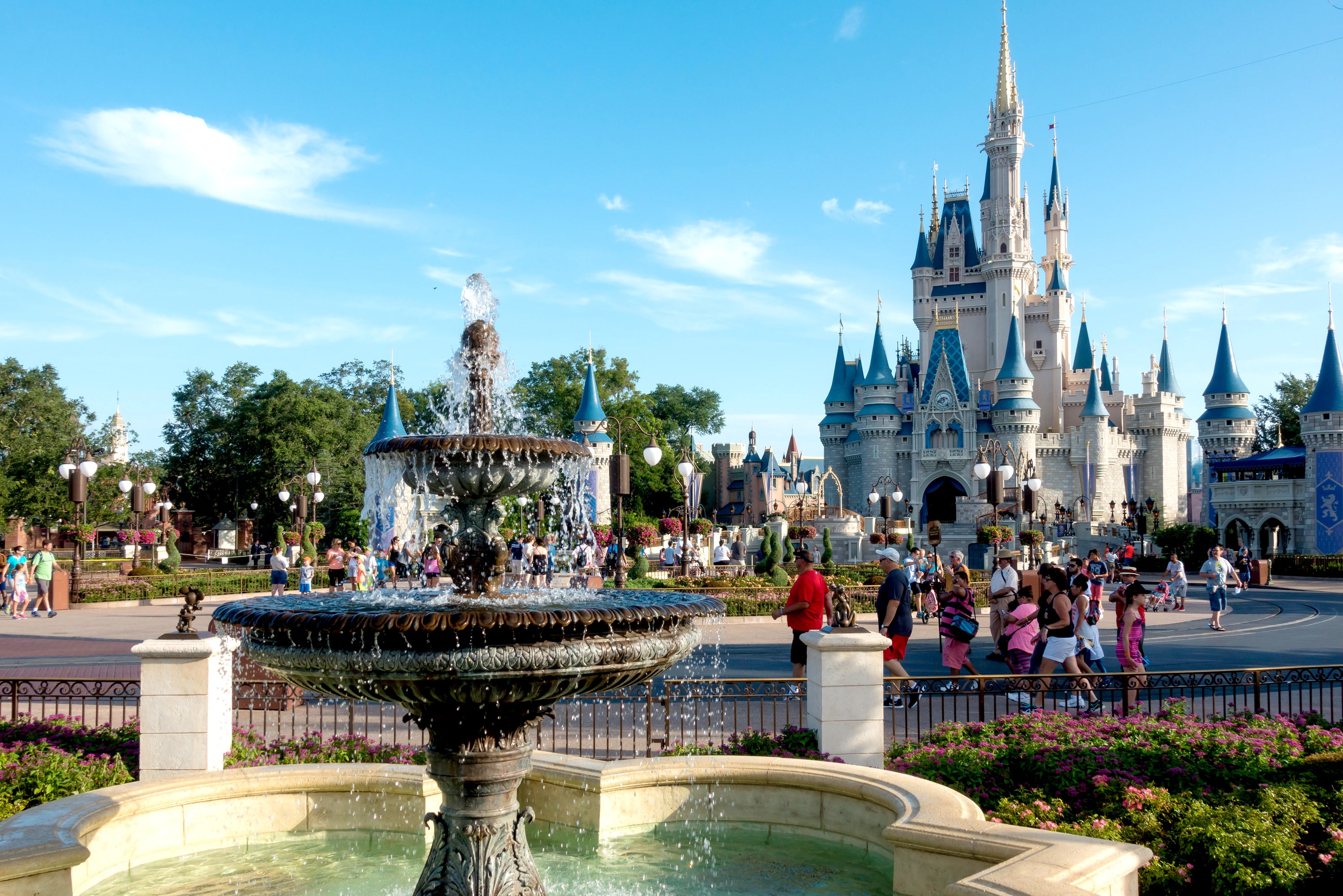 Too Much TV: Disney Experiences Facing Cancellations 'Worse Than COVID'
