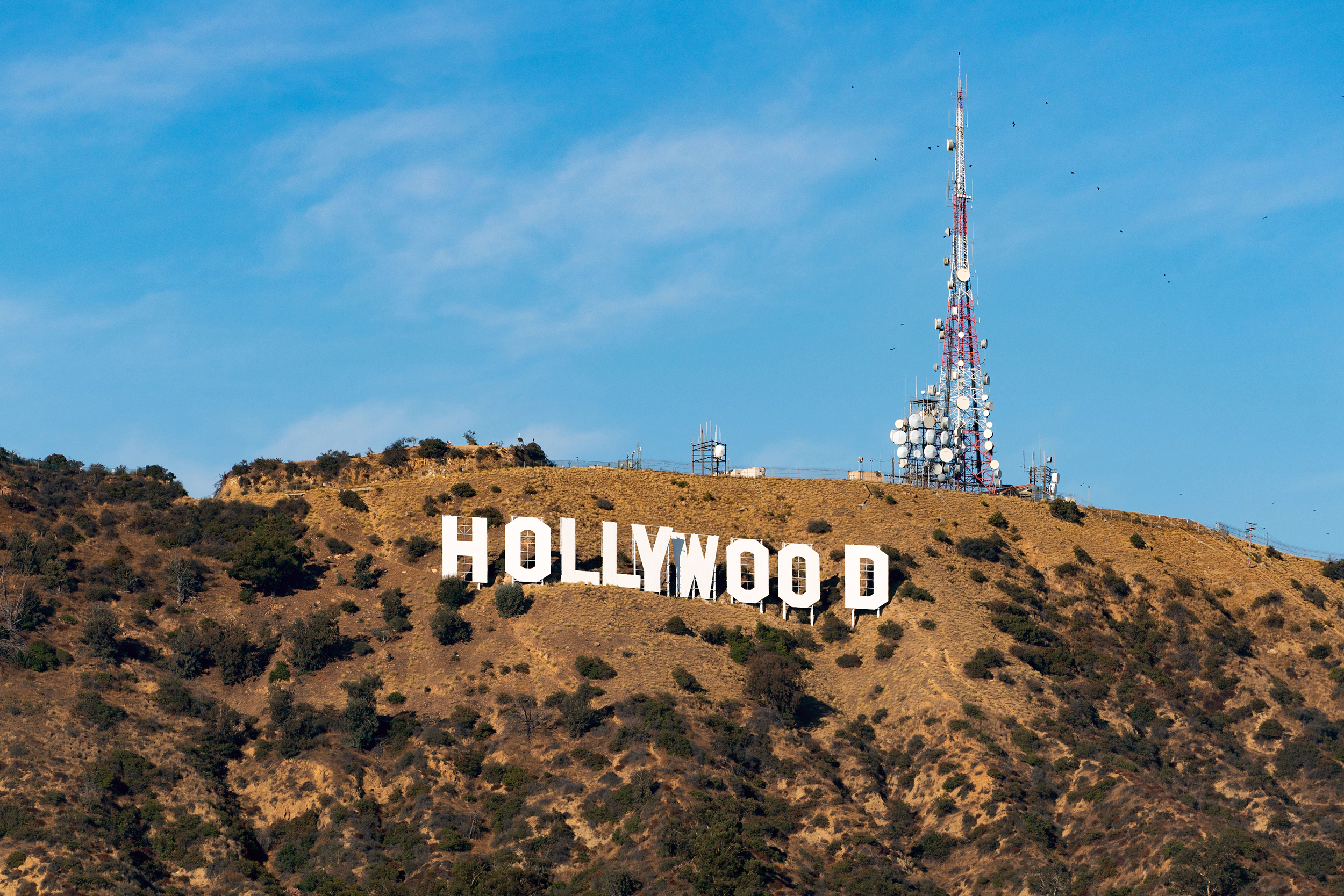 Too Much TV: Hollywood Is Stuck In A Confirmation News Bubble
