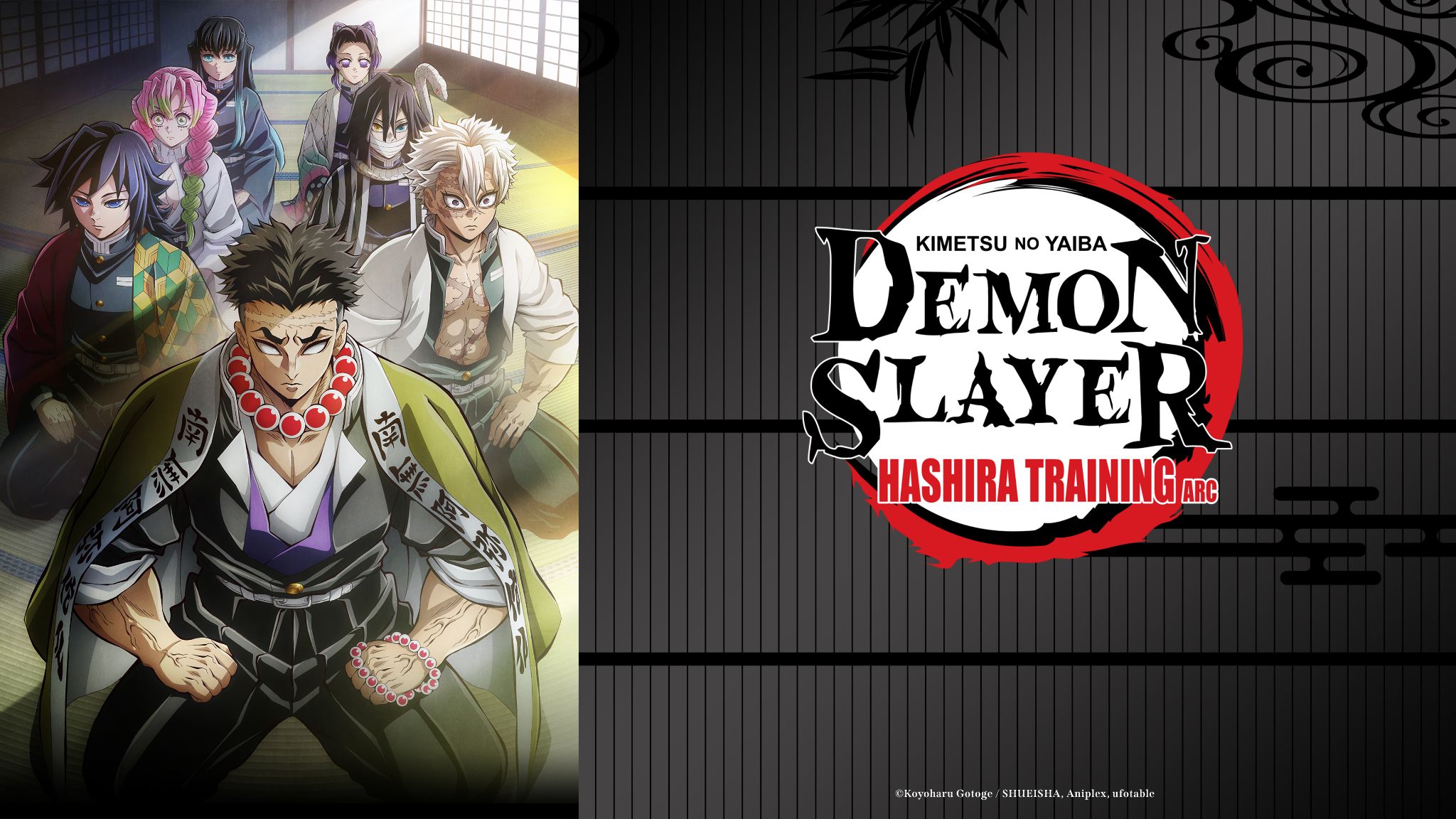 'Demon Slayer: Kimetsu No Yaiba Hashira Training Arc' - Episode One (Photo Gallery)